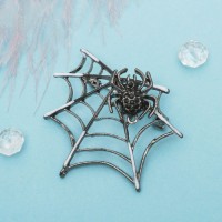 Брошь «Паук в паутине», цвет черно-белый в серебре