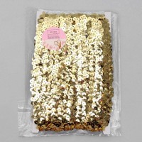 Тесьма декоративная с пайетками, на резинке, 2 см, 9 ± 0,5 м, цвет серебряный