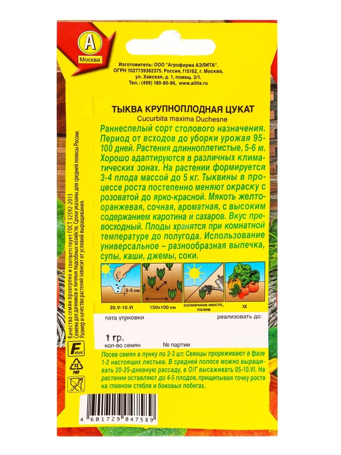 Набор семян Тыква крупноплодная "Цукат",  5 шт.