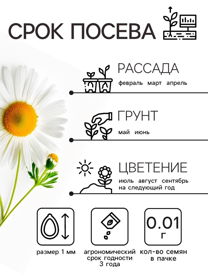 Семена Ромашка "Гигантелла", 0,01 г