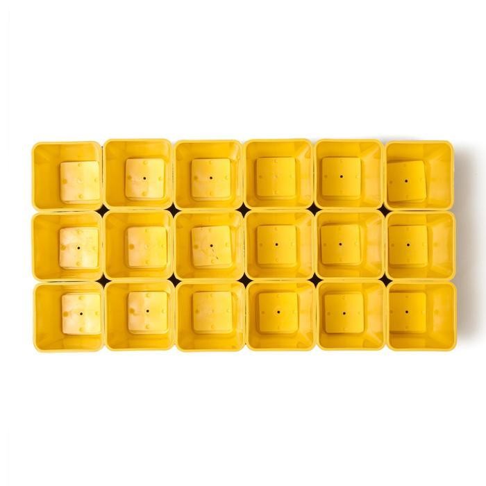 Набор для рассады: стаканы по 200 мл (18 шт.), поддон 37 × 18 см , цвет МИКС, Greengo