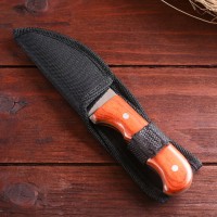 Нож туристический «Абсалон», 16 см, клинок 75 мм/3 мм, дерево