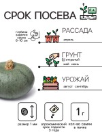 Семена Тыква "Крошка", 1 г