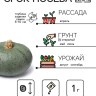 Семена Тыква "Крошка", 1 г