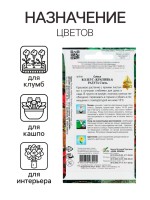 Семена комнатных цветов Колеус "Блюма Радуга", набор 5 шт