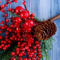 Новогодняя ветка декоративная «Зимнее волшебство. Мечты», пластик, ягодная веточка с шишкой, 30 см