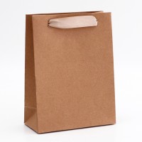 Пакет крафт без печати, вертикальный, 15×7×20 см 260 г/м²