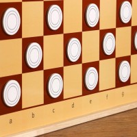 Демонстрационные магнитные шашки, 34 шт, d=5.5 см, толщина 4 мм