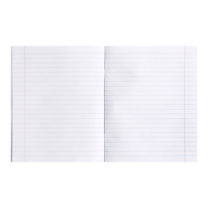 Комплект тетрадей, 48 листов в линейку, Calligrata «Кот», 5 штук