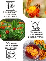 Семена цветов Бархатцы отклонённые "Петит", смесь, 0,3 г