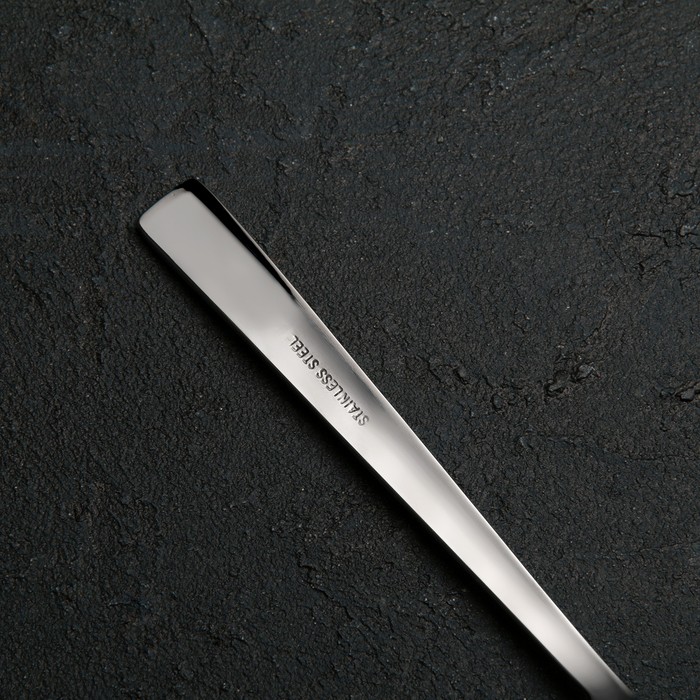 Ложка столовая «Хоккайдо», h=20 см, цвет серебряный