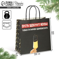 Пакет подарочный новогодний «Только пузырики», 22×22×11 см