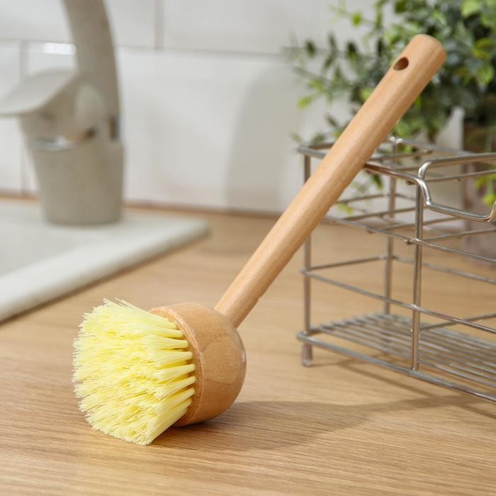 Щётка для посуды Доляна «Лотос», круглая, 22 см Щётка для посуды Доляна «Лотос», круглая, 22 см