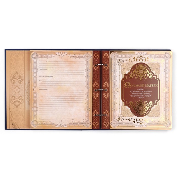 Родословная книга с рамкой под фото «Родословная книга», 50 листов, 21.5×23.7 см