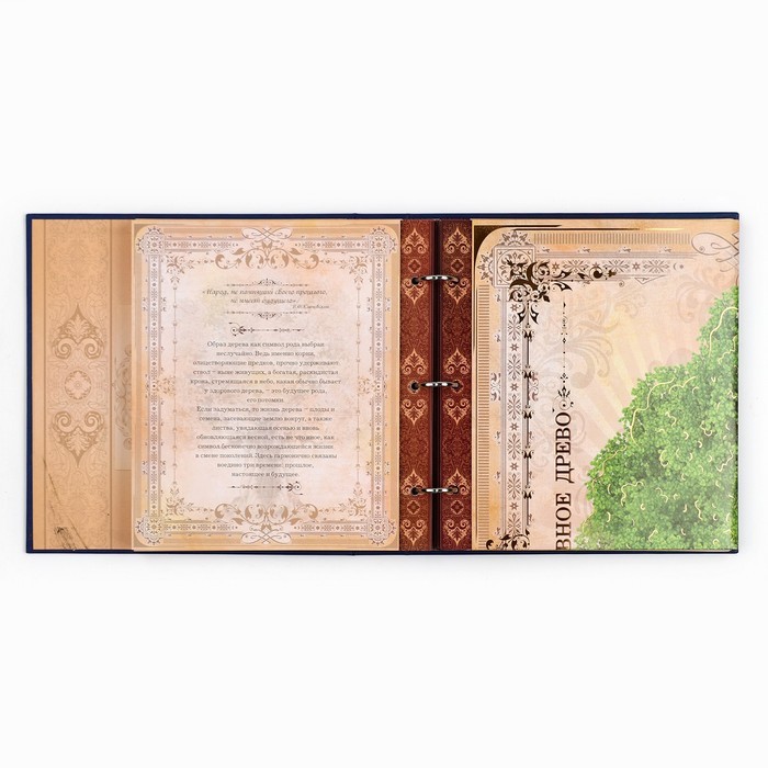 Родословная книга с рамкой под фото «Родословная книга», 50 листов, 21.5×23.7 см