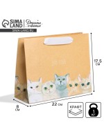 Пакет подарочный крафтовый, упаковка, «Тебе», 22×17.5×8 см