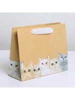 Пакет подарочный крафтовый, упаковка, «Тебе», 22×17.5×8 см