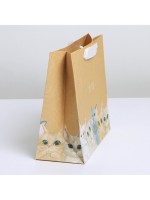 Пакет подарочный крафтовый, упаковка, «Тебе», 22×17.5×8 см