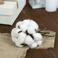 Декор сухоцвет "Хлопок" d-5 см, 30 см, белый