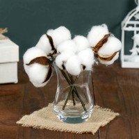 Декор сухоцвет "Хлопок" d-5 см, 30 см, белый