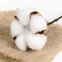 Декор сухоцвет "Хлопок" d-5 см, 30 см, белый