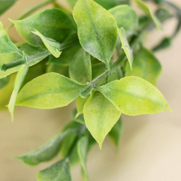 Букет "Листочки " 20 см (фасовка 6шт, цена за 1шт)