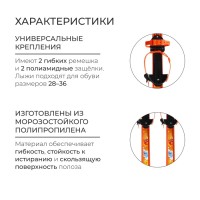 Комплект лыжный детский: лыжи 100 см, палки 100 см