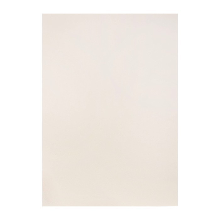 Бумага для пастели А3, 10 листов, "Пейзаж", бумага слоновая кость, ГОЗНАК, тиснение "скорлупа", блок 200 г/м2, в папке