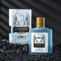 Туалетная вода мужская Sport Homme, 100 мл