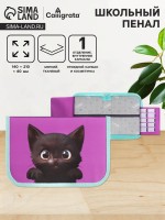 Пенал 1 секция 140×210×40 мм, откидной карман, косметичка, тканевый, Calligrata TOP Content «Котик»