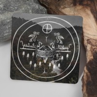 Кольцо «Папоротник» цвет чернёное серебро, 19 размер