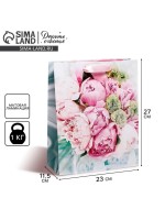 Пакет подарочный ламинированный, упаковка, «Радости!», ML 23×27×11.5 см