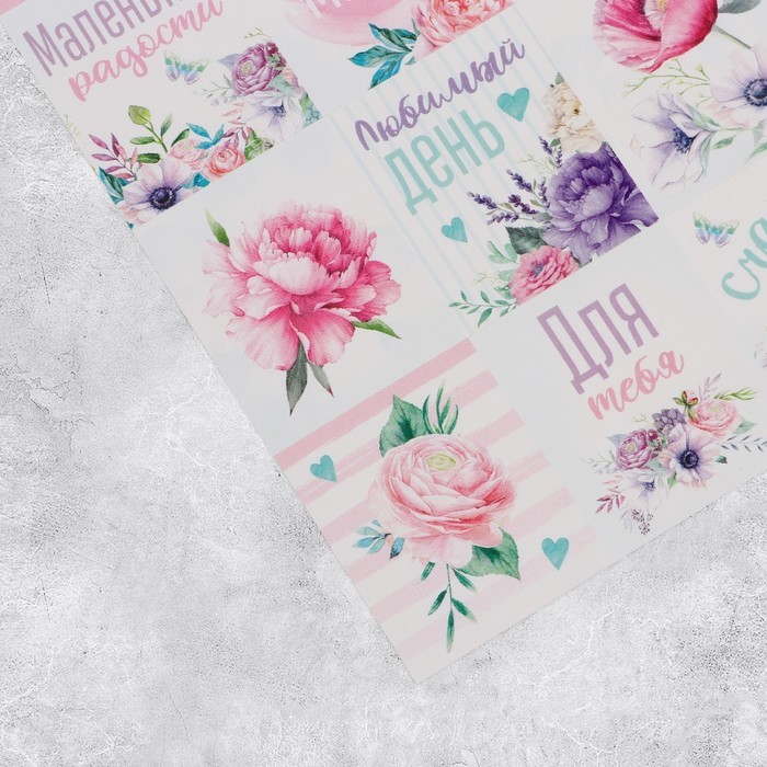 Наклейки бумажные «Мечта» , 11 × 15,5 см