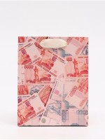 Пакет подарочный «Деньги», S 12 × 15 × 5,5 см