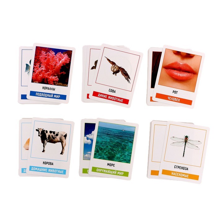 Развивающий набор «200 слов», учимся и развиваемся, по методике Глена Домана