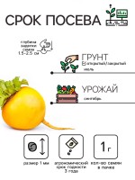 Семена Репа "Петровская 1", 1 г