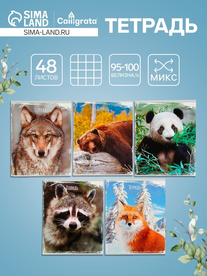 Тетрадь 48 листов в клетку, Calligrata «Дикие животные», МИКС