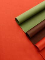 Бумага упаковочная крафт, двухсторонняя, «Таёжный лес», для упаковки подарков, 3 цвета, 50×68 см±5%