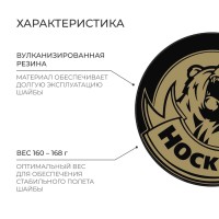 Шайба хоккейная Winter Star, взрослая, d=7,6 см