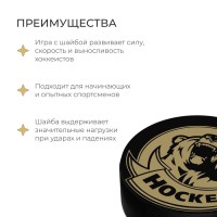 Шайба хоккейная Winter Star, взрослая, d=7,6 см