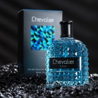 Туалетная вода мужская Chevalier Aqua, 100 мл