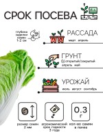 Семена Капуста пекинская ЧА-ЧА, 0,3 г