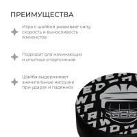 Шайба хоккейная Winter Star, взрослая, d=7,6 см