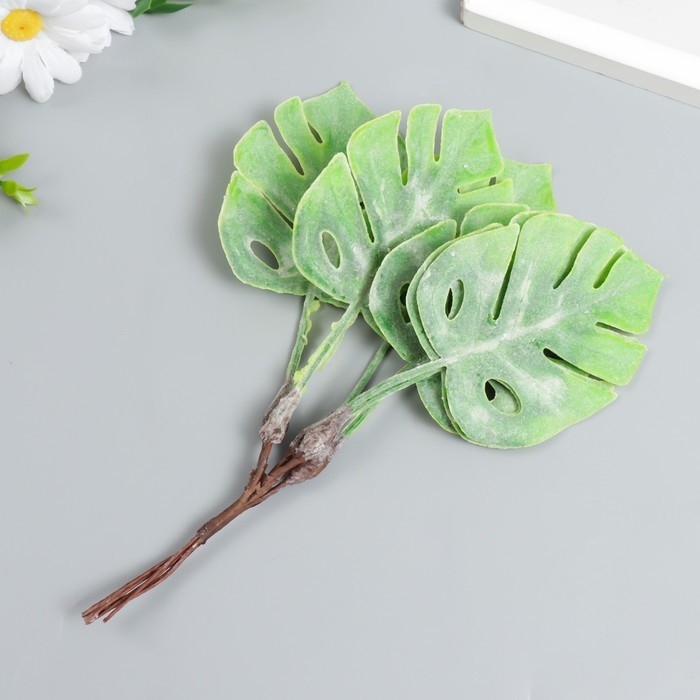 Декор ддя творчества "Монстера" 1 букет=6 цветов зелёная 25 см