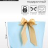 Пакет подарочный ламинированный, с лентой «Голубой», горизонтальный, 19×20×9 см