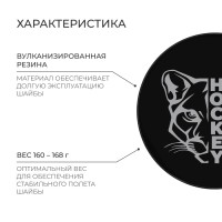 Шайба хоккейная Winter Star, взрослая, d=7,6 см