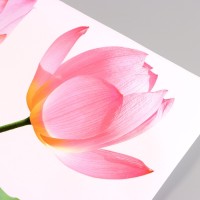 Наклейка 3Д интерьерная Лотос 110*60см