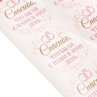 Набор наклеек на свадьбу, розовый с кольцами, 9,3 х 16 см