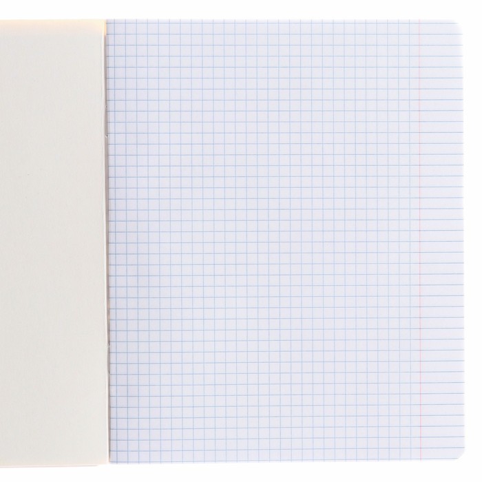 Тетрадь в клетку 12 листов, в линейку 12 листов, 20 шт., обложка мелованный картон «Человек-паук»