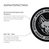 Шайба хоккейная Winter Star, взрослая, d=7,6 см